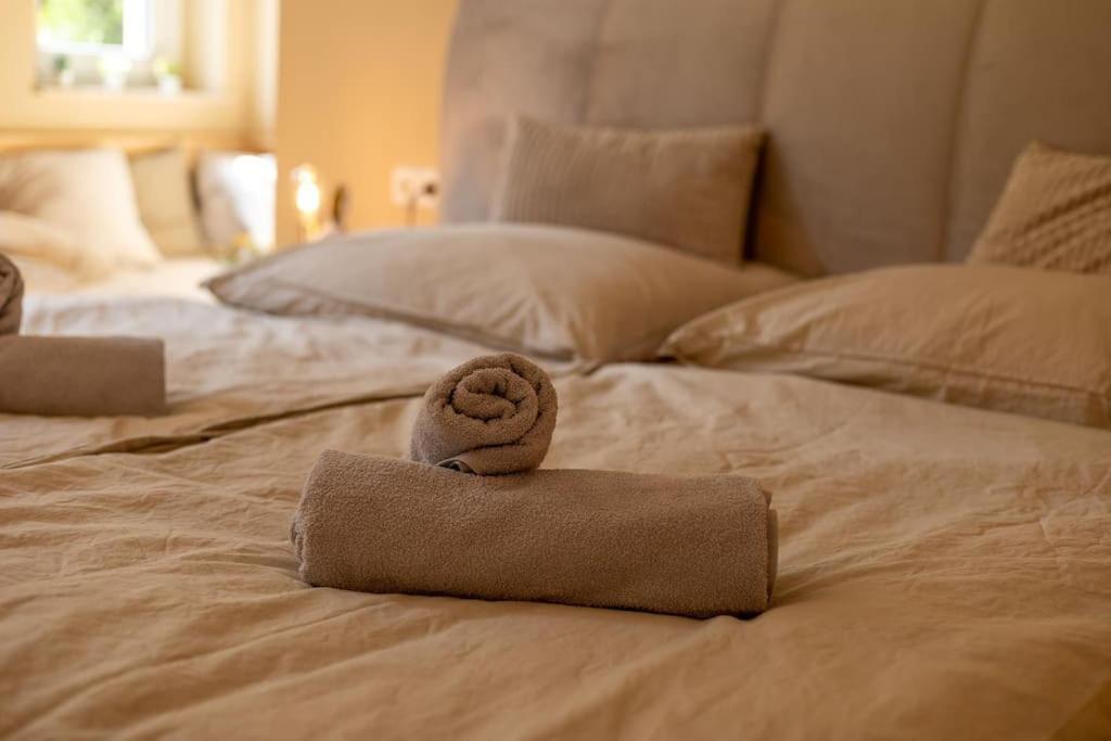 Innenstadt Appartement *Garten* 德累斯顿 外观 照片